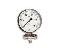 RIEGLER 102593-PL 2106 - Muelle de placa, química, G 1/2 radial inferior, 0-6,0 bar, diámetro de 100, 1 unidad