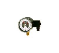 RIEGLER 102599-2205 Manómetro de contacto, G 1/2 radial inferior, medidor. 0-16,0 bar, diámetro de 100, 1 unidad