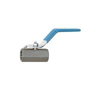 RIEGLER 103480-374.04-ES 1.4408 - Válvula de bola de acero inoxidable (1 pieza, serie pequeña, G 3/4, DN 12,5, 1 unidad)
