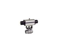 RIEGLER 103590-351.521 - Válvula de bola de acero inoxidable, neumático, actuador simple, Rp 3/4, 1 unidad