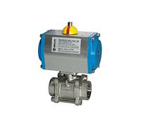 RIEGLER 103600-350.513 ES-Kuha, pneumat. Accionamiento de accionamiento, doble acción, Rp 1 1/4, DN 32, 1 unidad