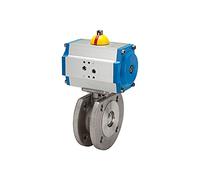RIEGLER 103643-350.1050 - Brida compacta de vaca, pneu, Stellantr, doble acción, ES, DN 50, 1 unidad