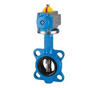 Riegler 103671-350.4100B - Tapa de cierre Actuador doble DN 100, 1 unidad