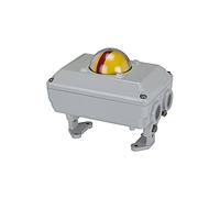 RIEGLER 103691-350.930 - Retroalimentación de posición final tipo SC-M 2 con microinterruptor, 250 V CA, 1 unidad