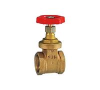 RIEGLER 103774-250.33 Válvula de compuerta sin carrera de husillo, latón, G 3/8, DN 10, 1 unidad