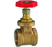 RIEGLER 103775-250.34 Válvula de compuerta sin carrera de husillo, latón, G 1/2, DN 15, 1 unidad