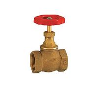 RIEGLER 103791-250.53 Válvula de cierre de manguito, latón, G 1, DN 25, 1 unidad