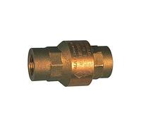 RIEGLER 103870-227.33 - Válvula antirretorno, paso completo, latón, Rp 3/4, 20-50 mbar, 1 unidad