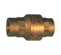 RIEGLER 103873-227.36 - Válvula antirretorno, paso completo, latón, Rp 1 1/2, 20-50 mbar, 1 unidad