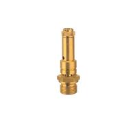 RIEGLER 104294-226.03-4,0 - Válvula de seguridad DN 8, latón, G 1/2, presión de respuesta 4 bar, 1 unidad
