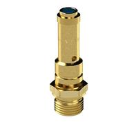 RIEGLER 104358-226.03-16,0 - Válvula de seguridad DN 8, latón, G 1/2, presión de respuesta: 16 bar, 1 unidad
