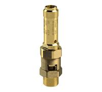 RIEGLER 104813-229.01-2,0 Válvula de seguridad, latón, G 1/2, presión de contacto 2 bar, 1 unidad