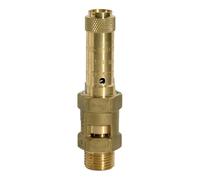 RIEGLER 104992-229.04-10,0 Válvula de seguridad, latón, G 1 1/4, presión de respuesta 10 bar, 1 unidad