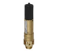 RIEGLER 105130-1144.01-12,5 - Válvula de seguridad de alto rendimiento, MS, G 1/2, presión de respuesta: 12,5 bar, 1 unidad