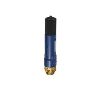 RIEGLER 105345-1145.02-3,3 - Válvula de seguridad de alto rendimiento, MS, G 1 1/2, presión de respuesta: 3,3 bar, 1 unidad.