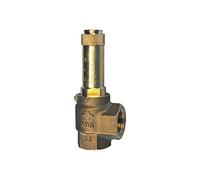 RIEGLER 105463-222.04-0,6 - Válvula de seguridad esquinera, vapor de sattdampf, G 3/4, presión de respuesta 0,6 bar, 1 unidad