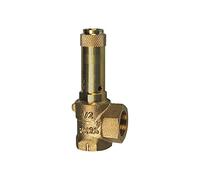 RIEGLER 105645-221.08-5,5 válvula de seguridad esquinera líquidos, G 2, presión de respuesta 5,5 bar, 1 unidad