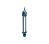 RIEGLER 105759-1.DM.10050 - Cilindro redondo, doble acción, imán, diámetro de pistón 10, carrera 50, M5, 1 unidad