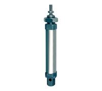 RIEGLER 105778-1.DM.20010 - Cilindro redondo, doble trenza, imán, diámetro de 20, o.D, carrera 10, G 1/8, 1 unidad