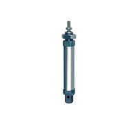 RIEGLER 105782-1.DM.20100 - Cilindro redondo, doble trenza, imán, diámetro de 20, o.D, carrera 100, G1/8, 1 unidad
