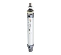 RIEGLER 105829-1.EM.12025 - Cilindro redondo, efecto simple, imán, diámetro del pistón 12, carrera 25, M5, 1 unidad