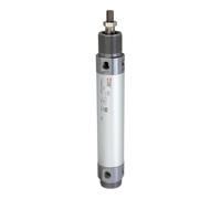 RIEGLER 105852-2.DM.32160 - Cilindro redondo, doble acción, imán, diámetro de pistón 32, carrera 160, G 1/8, 1 unidad