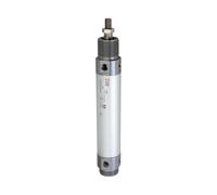 RIEGLER 105865-2.DM.40250 - Cilindro redondo, doble acción, imán, diámetro de pistón 40, carrera 250, G 1/4, 1 unidad
