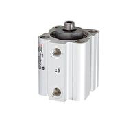 RIEGLER 105960-3.EMF.32010 - Cilindro de elevación corta (funciona simplemente, imán, diámetro de pistón 32, carrera 10, G 1/8, 1 unidad)