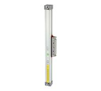 RIEGLER 106300-6.DD.160200 - Cilindro sin barra de pistón, doble torsión, diámetro de pistón 16, carrera 200, 1 unidad