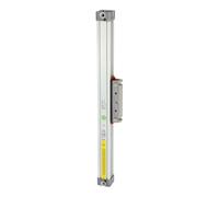 RIEGLER 106313-6.DD.250200 - Cilindro sin barra de pistón, doble torsión, diámetro del pistón 25, carrera 200, 1 unidad