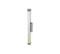 RIEGLER 106353-6.DD.630300 - Cilindro sin barra de pistón, doble torsión, diámetro de pistón 63, carrera 300, 1 unidad