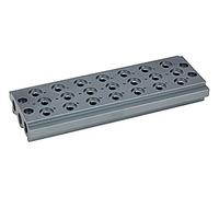 RIEGLER 106627-520.07-18 - Placa base múltiple para válvulas direccionales, 7 posiciones de válvula, G 1/8, 1 unidad