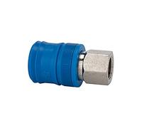 RIEGLER 107557-249.71 Acoplamiento de seguridad NW 7,4, tipo KE, latón vern., G 1/4 IG, 1 unidad