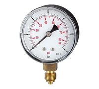 RIEGLER 114734-100-KDE - Línea de presión estándar G 1/4 inferior, -1/0 bar/-14,5 psi, diámetro de 50, 1 unidad