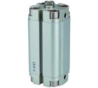 RIEGLER 115260-13.DM.100100 ACP - Cilindro compacto de doble torsión, diámetro de pistón 100, carrera 100, G 1/4, 1 unidad