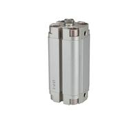 RIEGLER 115358-13.DM.50010 ACP - Cilindro compacto de doble acción, diámetro de pistón 50, carrera 10, G 1/8, 1 unidad
