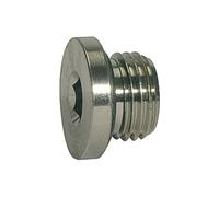 Riegler 115524 Value Line - Tapón de junta tórica (G 1/4, hexágono interior de 6,5 mm)