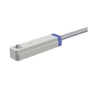 RIEGLER 115534-235.201 Sensor tipo CS1, sensor REED, 2 cables, 3 m, NO, 1 unidad