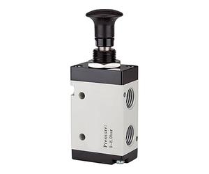RIEGLER 115977-514.4001 - Válvula de 5/2 vías, botón de accionamiento, "3L", G 1/8, 500l/min, 1 unidad