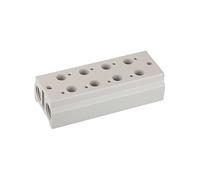 RIEGLER 116226-5510.04-18 - Placa base múltiple para válvulas de 3/2 vías, 4 posiciones, M5, G 1/8, 1 unidad