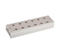 RIEGLER 116237-5510.08-14 Placa base múltiple, válvulas de 3/2 vías, 8 posiciones, G 1/8, G 1/4, 1 unidad
