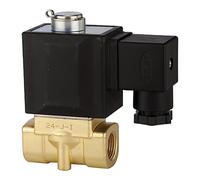 RIEGLER 116543-MV 1531 2/2 vías, 2 KW" MS, NO, directo, 24 V CC, G 1/8, PN 0-7 bar, 1 unidad.