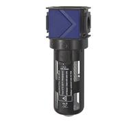 RIEGLER 125327-VAK 24 S - Filtro de carbón activo "variobloc" para PC, cesta protectora, BG 2, G 1/2, 1 unidad