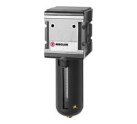 RIEGLER 133150-FA 45 S - Filtro de carbón activo multifix para PC, cesta protectora, BG 4, G 1, 1 unidad