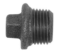 RIEGLER 133787-TFS 290-14-S - Tapón 290, con borde, R 1/4 a. Fundición maleable negra, 1 unidad
