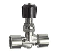 RIEGLER 136231-210.90-N - Válvula de aguja MS vern, para montaje en panel de control, IG/IG, Rp 1/4, DN 4, 1 unidad