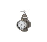 RIEGLER 137324-580RC1-14-17 - Regulador de presión de acero inoxidable, 1.4401, BG 1, G 1/4, 1,7-17,5 bar, 1 unidad