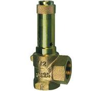 RIEGLER 137686-221.08-1,5 - Válvula de seguridad en esquina, líquidos, G 2, presión de respuesta 1,5 bar, 1 unidad