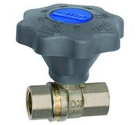 RIEGLER 138874-335.105 Válvula de bola, ajuste fino, latón niquelado/blanco, Rp 3/4, 1 unidad