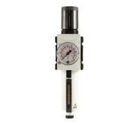 RIEGLER 139494-FU 814-M-10 - Regulador de filtro "FUTURA", MB, SR, Mano, BG 2, G 1/2, 0,5-10 bar, HA, 1 unidad